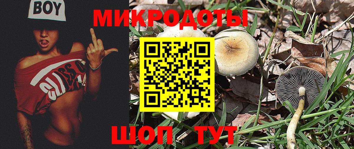 Псилоцибиновые грибы Magic Shrooms Кострома