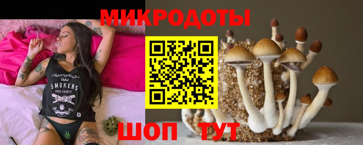 Псилоцибиновые грибы мицелий  Псилоцибиновые грибы Cubensis  Вход с VPN  Кострома 